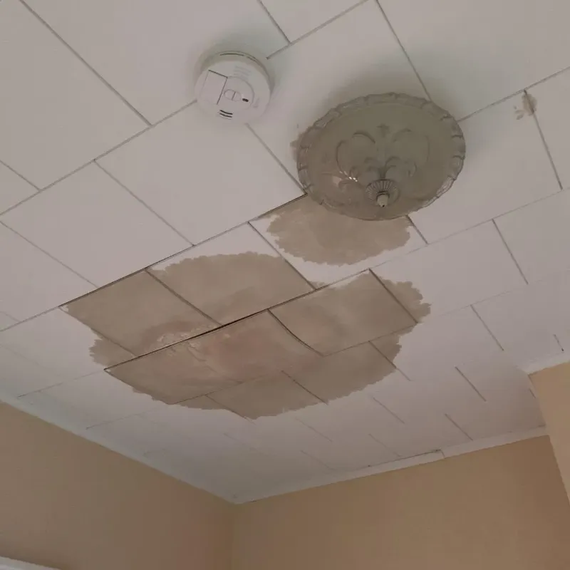 Ceiling Water Damage Repair in Christiana, TN