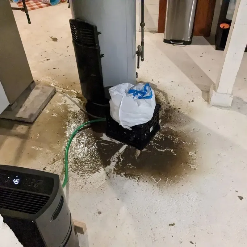 Sewage Backup Cleanup Service in Christiana, TN